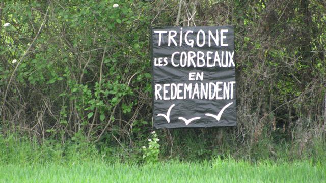 20120200_pdp 127.jpg